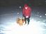 Chow chow tulle - 2juledag i sne