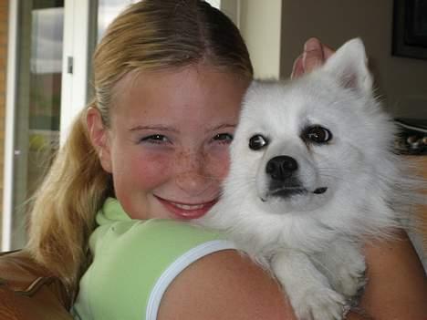 Japansk spids Benji - øhh... du klemmer mit øre...  billede 2