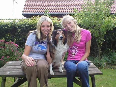 Collie langhåret Soffi R.I.P :´( - Mig med lidt af min familie.. :) billede 5