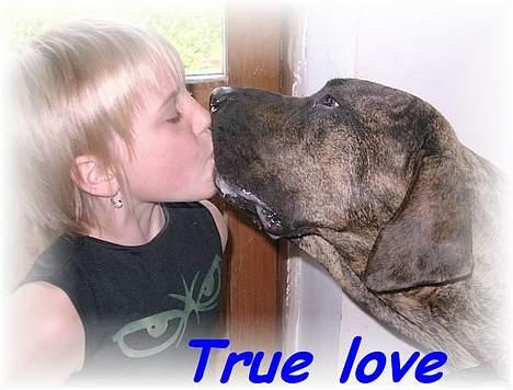 Fila brasileiro Garbosa De Los Tres Naran - Garbosa kysser Lea billede 11