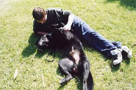 Blanding af racer Tazman - "Mmmmmm.. Uhhhh ja.. Og så lige lidt til venstre... Ja, dér...." :-) Tazman - den store livsnyder. :-D billede 18