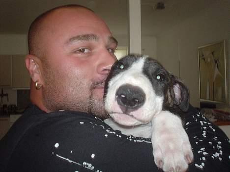 Blanding af racer Tyzon - det er så min bror og dejlige glade tyzon  billede 4