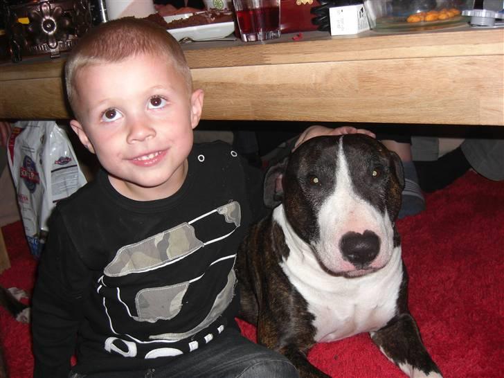 Blanding af racer Tyzon - Sammi og Tyzon billede 5