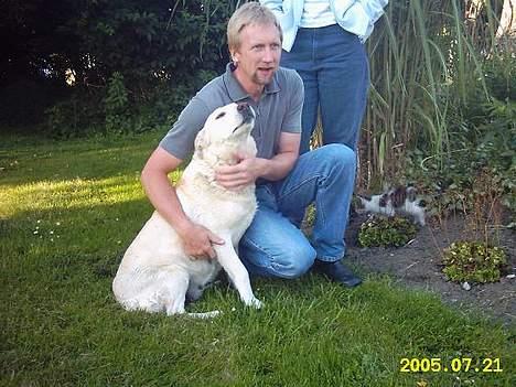 Labrador retriever Sussie - død - Her er Sussie og Far. Sussie med sit fornærmede udtryk! :) billede 7