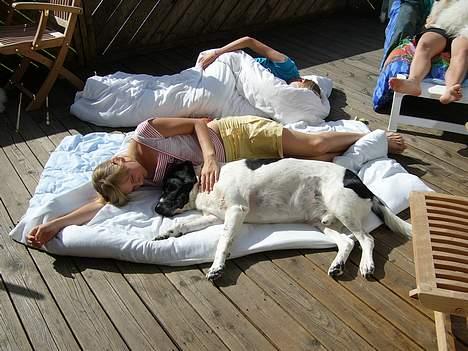 Blanding af racer Buster* R.I.P* - Det er godt at tage lidt sol :-) billede 19