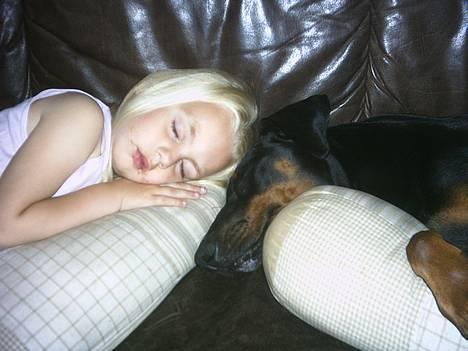 Dobermann Celine (Cille) - Far´s to DEJLIGE tøzer, ligger lige og putter! billede 6