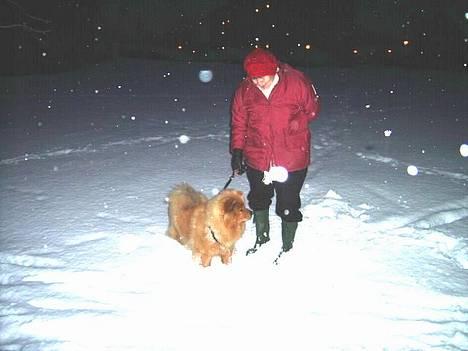 Chow chow tulle - 2juledag i sne billede 13