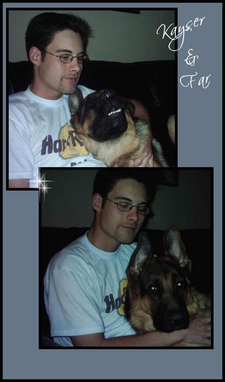 Schæferhund Kayser 30/4 05 - 16/1 06 billede 6