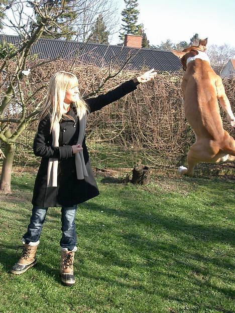 Blanding af racer Deca - giv mig den pind mor :) billede 5