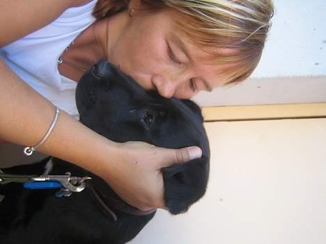 Blanding af racer BUSTER - elsker også dig mor billede 11