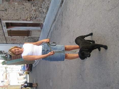 Blanding af racer BUSTER - dejligt at gå med mor i Frankrig billede 12