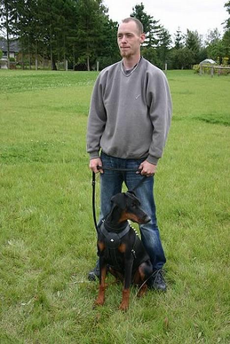 Dobermann Celine (Cille) - Her sidder jeg og ser godt ud! og så står du bare og laver ansigter. fjollede far! billede 8