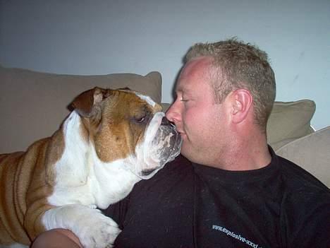 Engelsk bulldog Pumba - R.I.P - Uhh, I love you daddy. billede 16