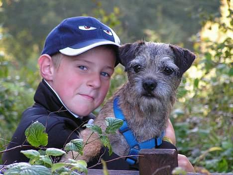 Border terrier Charlie - Min dejlige knægt og Charlie ved Munkebjerg 2004 billede 5