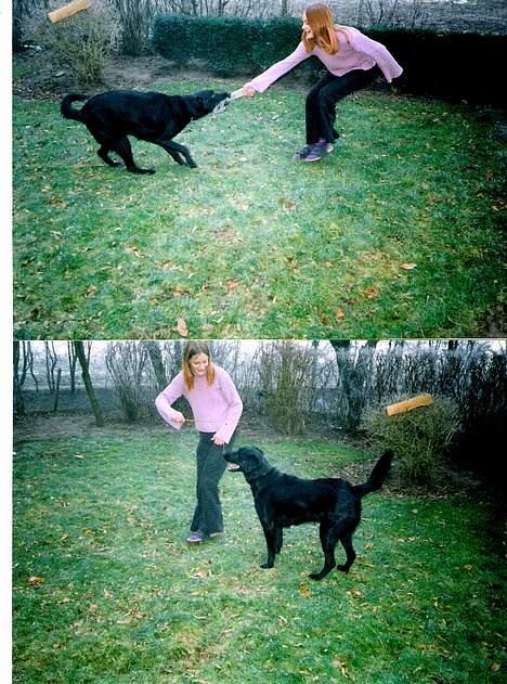 Blanding af racer buller - mig og buller ude i haven.. en af de dage hvor vi lige havde fået ham for2½ år siden... billede 18