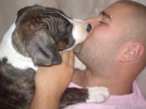 Blanding af racer Tyzon - her kysser far og jeg lidt billede 14