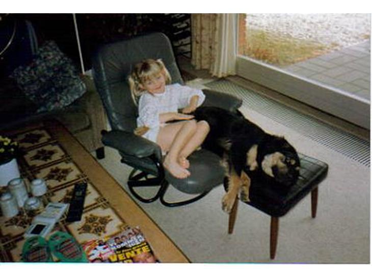 {{currentPhoto.altText}} billede {{currentPhoto.number}}