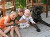 Boerboel Anasha Cæsar