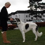 Borzoi Oluf (Olle)