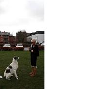 Borzoi Oluf (Olle)