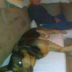 Blanding af racer Line *R.I.P*