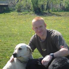 Labrador retriever bino