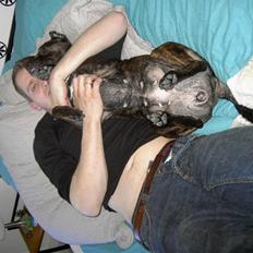 Blanding af racer Basse