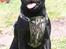 Blanding af racer Kenzo  Mops/Puddel