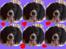 Engelsk springer spaniel Balder