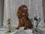 Cavalier king charles spaniel Topper