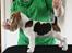 Beagle Svea