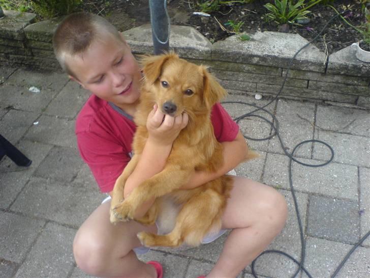 Blanding af racer soffie - min bror og soffie  billede 15