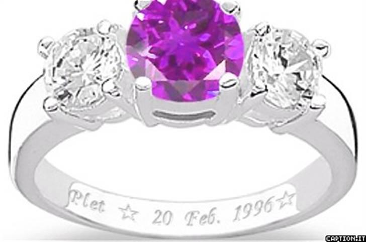 Dansk svensk gaardhund Plet *R.I.P* billede 7