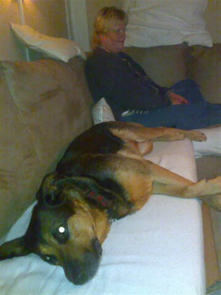 Blanding af racer Line *R.I.P* - Line og min mor :) billede 2