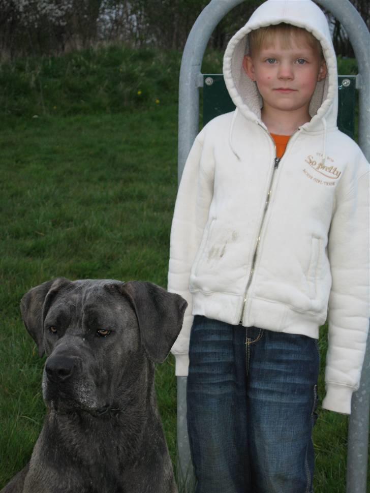 Cane corso mango - mango og min søn marco :) billede 13