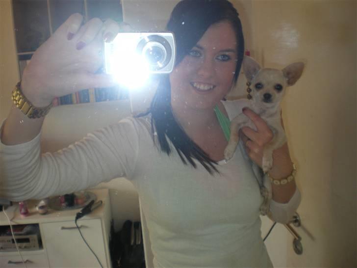 Chihuahua Mille  - Mig og mor . billede 9