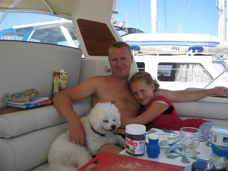 Bichon à poil frisé Baloo - Det er dejligt at sejle..  billede 20