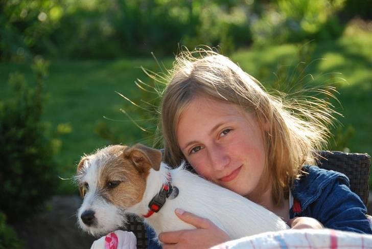 Jack russell terrier Bertha - gruppekram billede 8