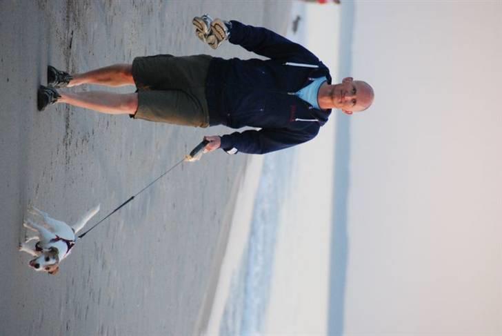 Jack russell terrier Bertha - gåtur ved vandet billede 10