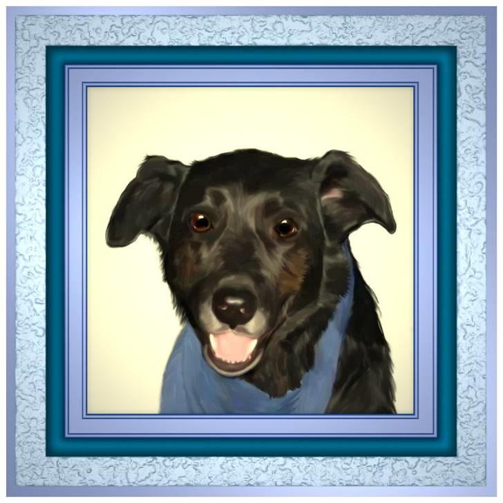 Blanding af racer Fie *Hvil i fred min skat - Ligger i ikke en kommentar og bedømmelse? billede 20