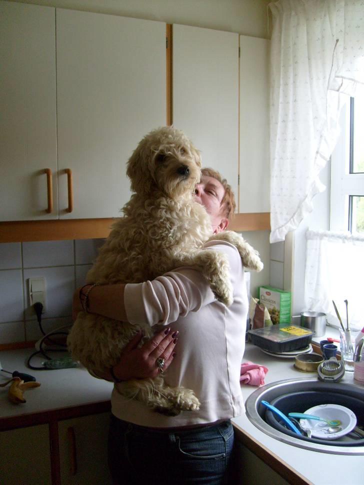 Blanding af racer Fister (Bobby) - Hvor blev "plejefar" af? billede 2