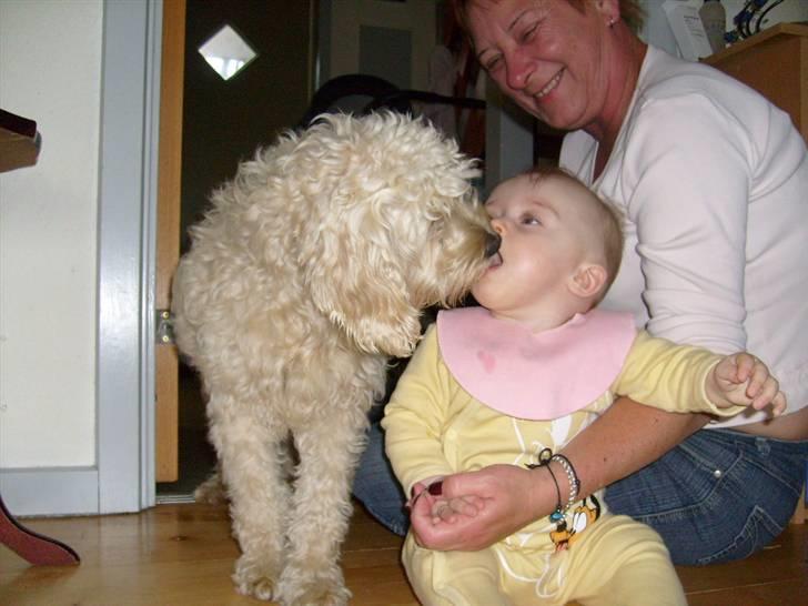 Blanding af racer Fister (Bobby) - Der gives kys til Freja billede 5