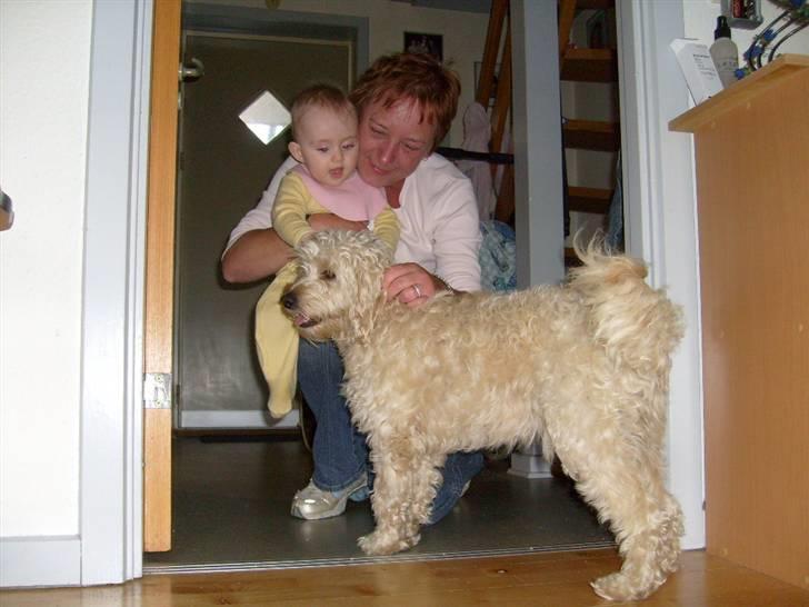 Blanding af racer Fister (Bobby) - Jeg skal trøstes lidt billede 6