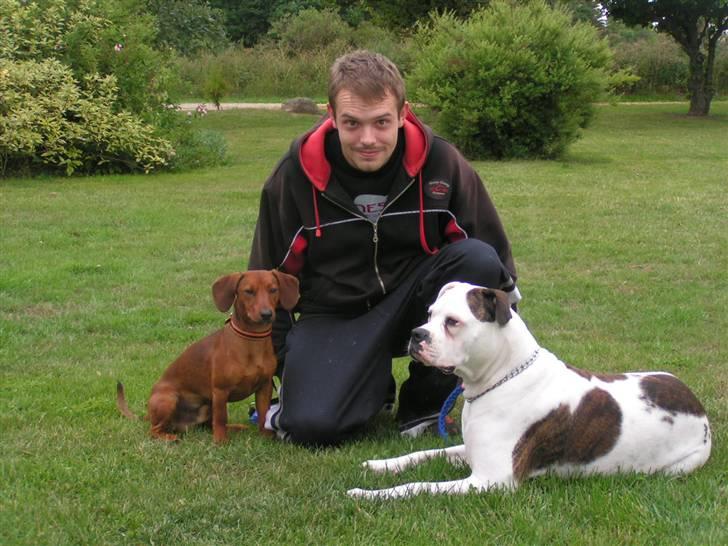 Blanding af racer Eddi  - mig, buffy og far. mens vi smiler til fotografen billede 15