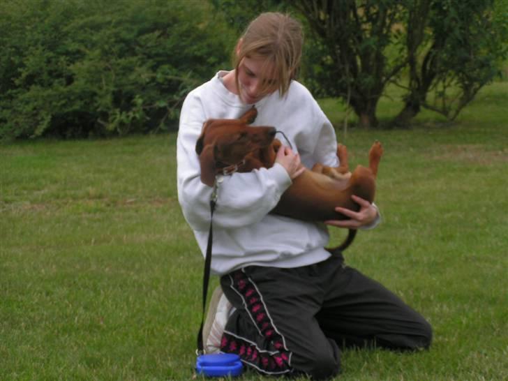 Blanding af racer Eddi  - eiiii mor jeg er en stor dreng nu... ikk en baby billede 16