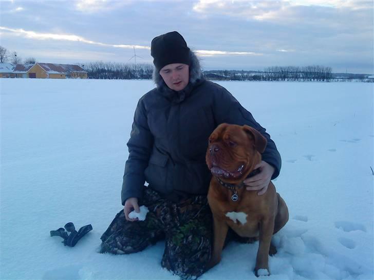 Dogue de bordeaux Kenzo *-- R.I.P --* - 26 Dec 2009 billede 11