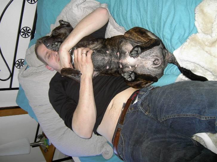 Blanding af racer Basse - putte tide sammen med far billede 3