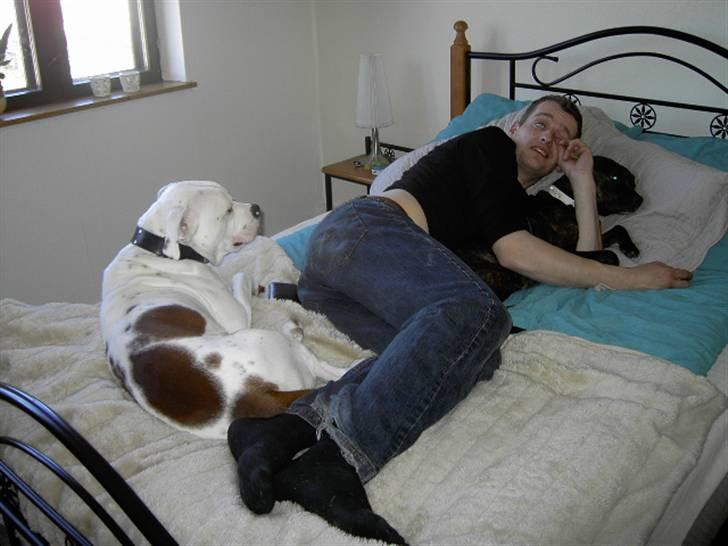 Blanding af racer Basse - lad os alle putte :-) billede 4