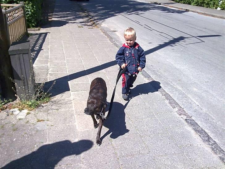 Blanding af racer Basse - Lucas går tur med tøsen billede 5