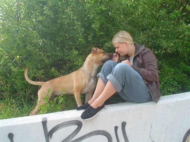 Blanding af racer ciska.  -  ciska & jeg. - jeg elsker dig Ciska.  billede 20